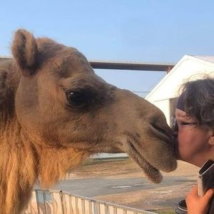 Meet your Posher, Veronica